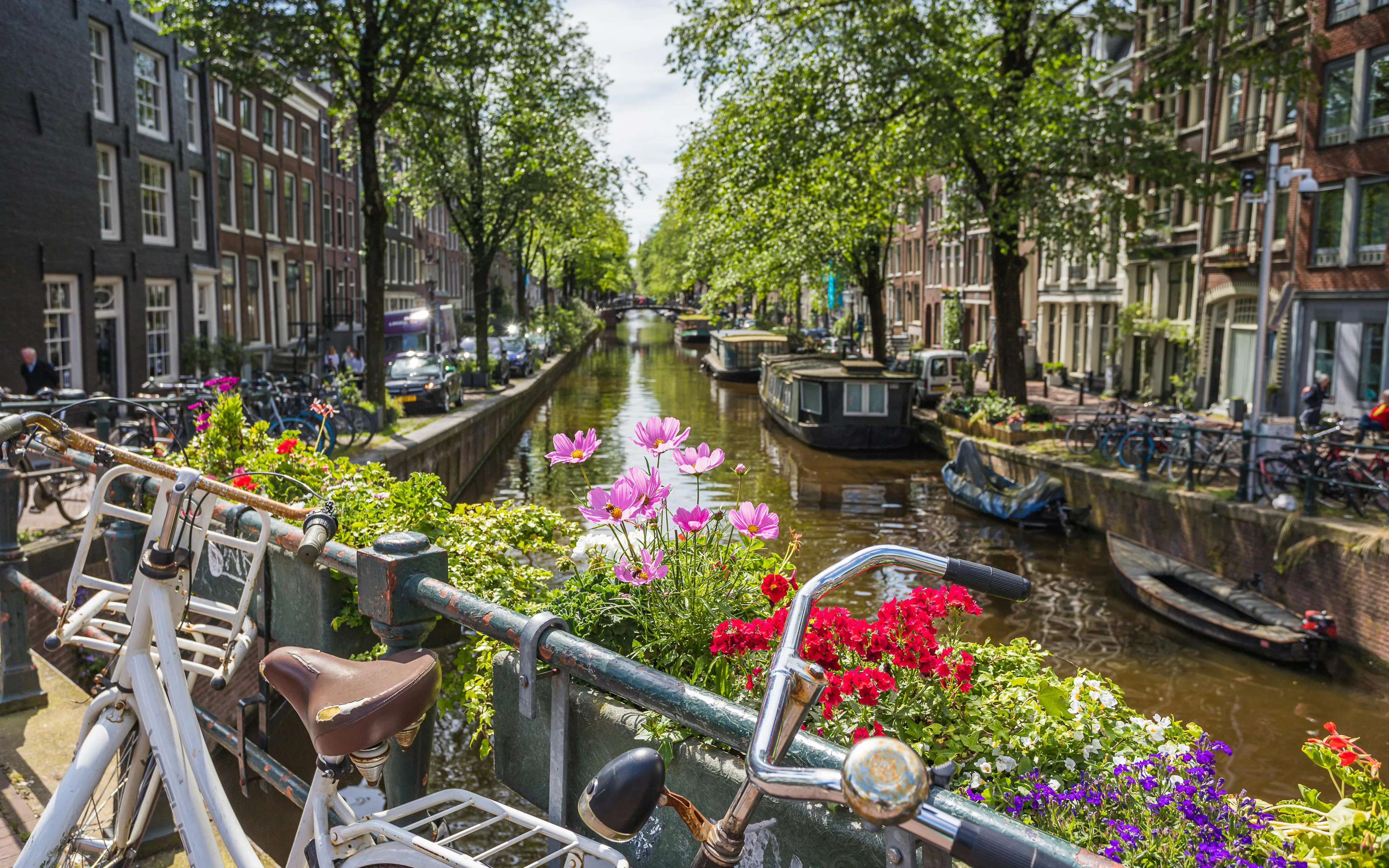 Bicycles and flowers on Bloemgracht canal bridge in Amsterdam during spring.