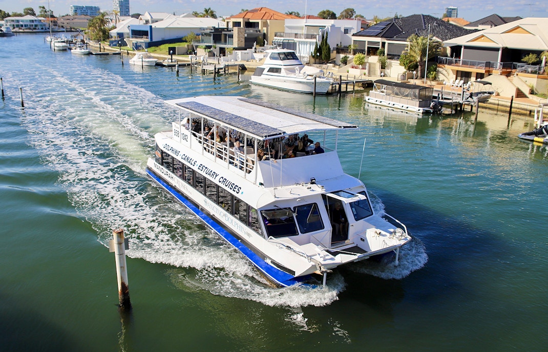 Scenic View Dolphin Cruise