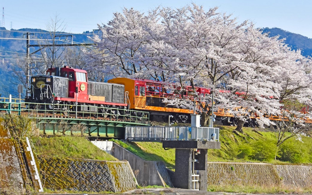 Sagano Romantic Train crossing a bridge with cherry blossoms in Kyoto, Japan.