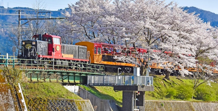 Sagano Romantic Train Kyoto