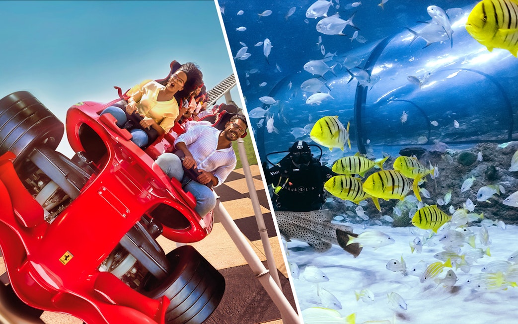 Roller coaster at Ferrari World and diver in National Aquarium Abu Dhabi.