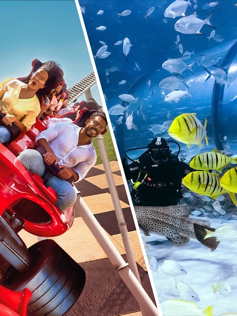 Roller coaster at Ferrari World and diver in National Aquarium Abu Dhabi.