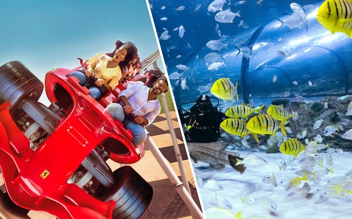 Roller coaster at Ferrari World and diver in National Aquarium Abu Dhabi.