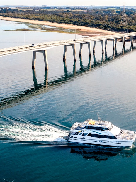 Cruise boat near bridge on Cape Woolamai coastline, Phillip Island.