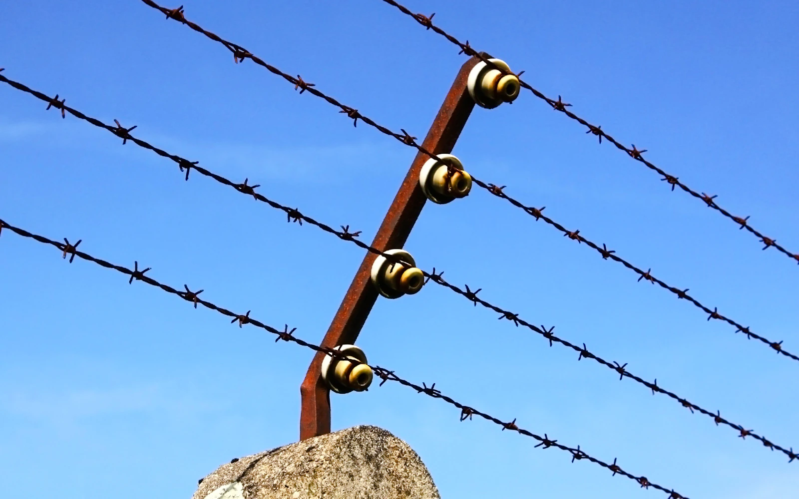 From Munich: Dachau Concentration Camp Memorial Site Private Guided Tour with Transfers (Product 54096)