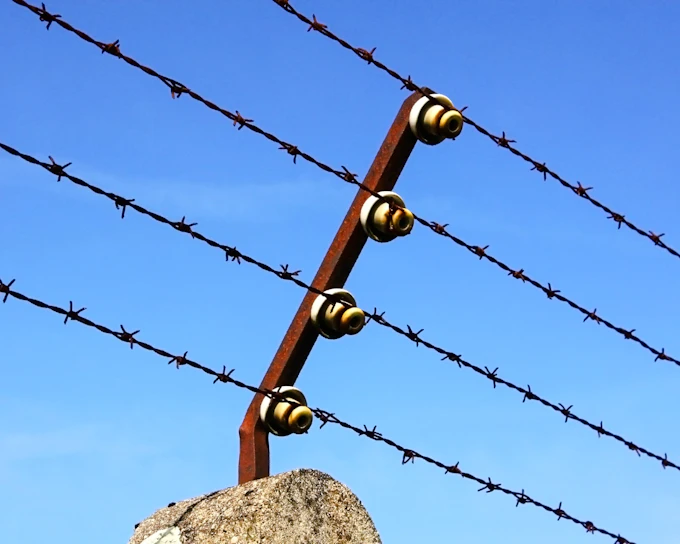 From Munich: Dachau Concentration Camp Memorial Site Private Guided Tour with Transfers (Product 54096)