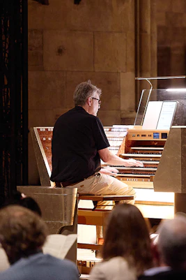 Organist performing at St. Stephen's Cathedral concert, Vienna.