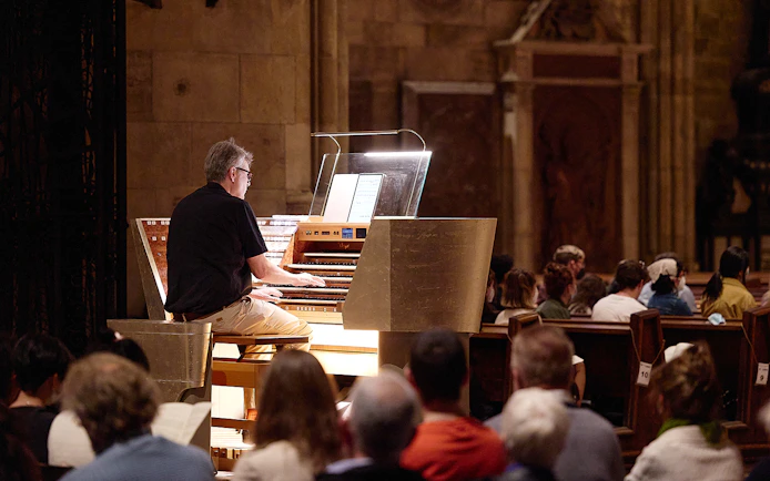 Organist performing at St. Stephen's Cathedral concert, Vienna.