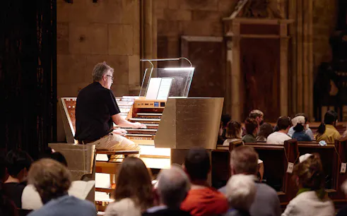 Organist performing at St. Stephen's Cathedral concert, Vienna.