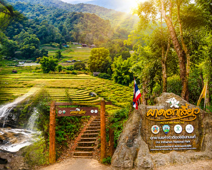 From Chiang Mai: Doi Inthanon National Park Private Guided Tour with Pha Dok Siew Nature Trail Hike