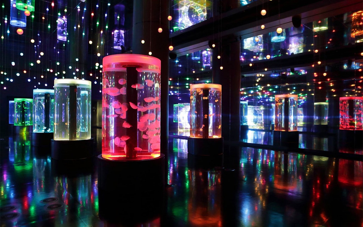 Colorful illuminated tanks with fish at Maxell Aqua Park Shinagawa, Tokyo.