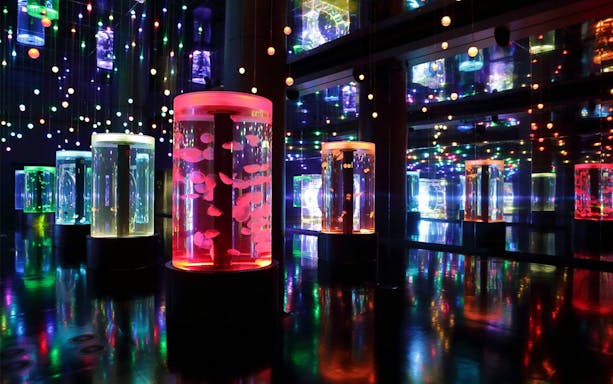 Colorful illuminated tanks with fish at Maxell Aqua Park Shinagawa, Tokyo.