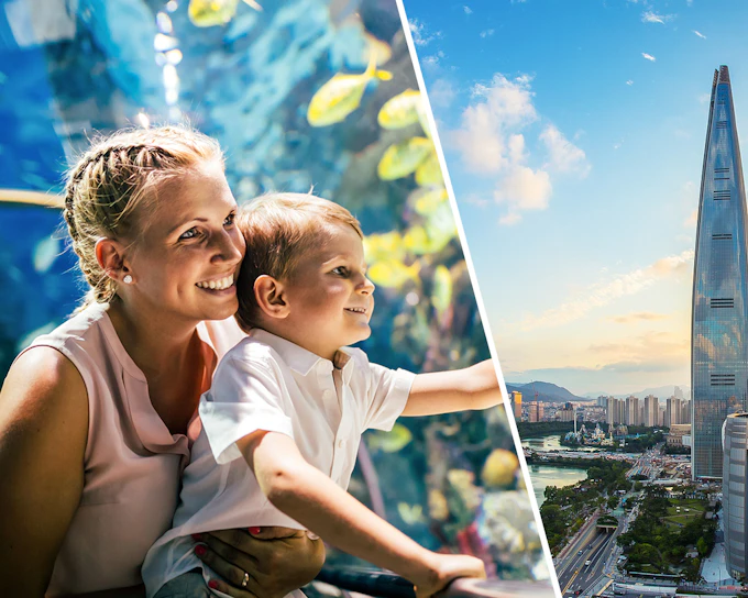 Combo (Save 38%): Lotte World and Aquarium + Seoul Sky Observatory Tickets