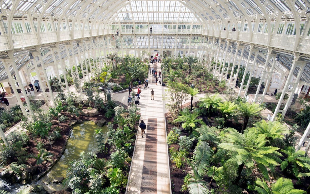 entrada de admisión general a los jardines de kew con acceso a exposiciones especiales y atracciones principales-1