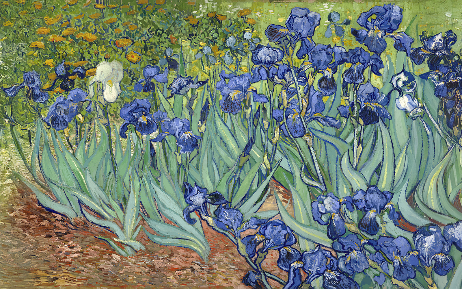 Irises (1889)