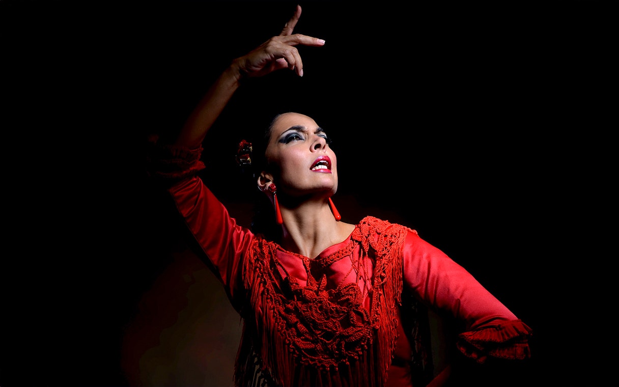 Flamenco dancer performing at Sensaciones - Teatro Flamenco Granada.