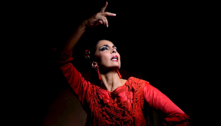 Flamenco dancer performing at Sensaciones - Teatro Flamenco Granada.