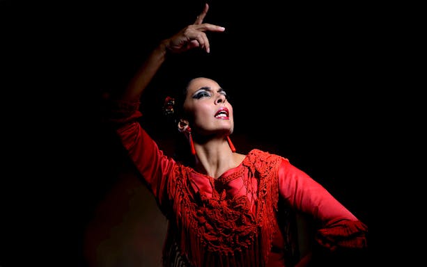Flamenco dancer performing at Sensaciones - Teatro Flamenco Granada.