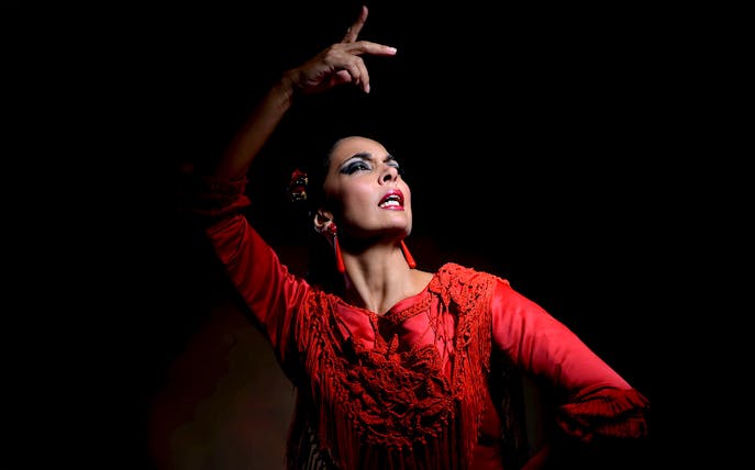 Flamenco dancer performing at Sensaciones - Teatro Flamenco Granada.