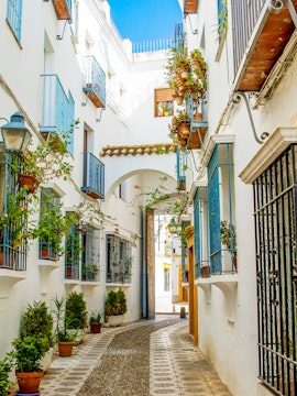 Narrow alleyway with white buildings and potted plants in Cordoba, Spain.