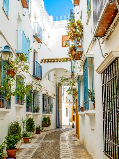 Narrow alleyway with white buildings and potted plants in Cordoba, Spain.