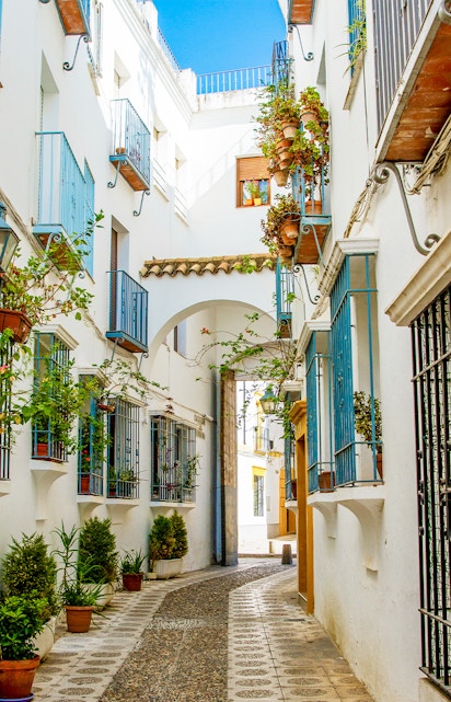 Narrow alleyway with white buildings and potted plants in Cordoba, Spain.