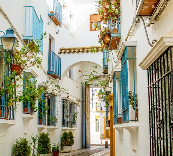 Narrow alleyway with white buildings and potted plants in Cordoba, Spain.