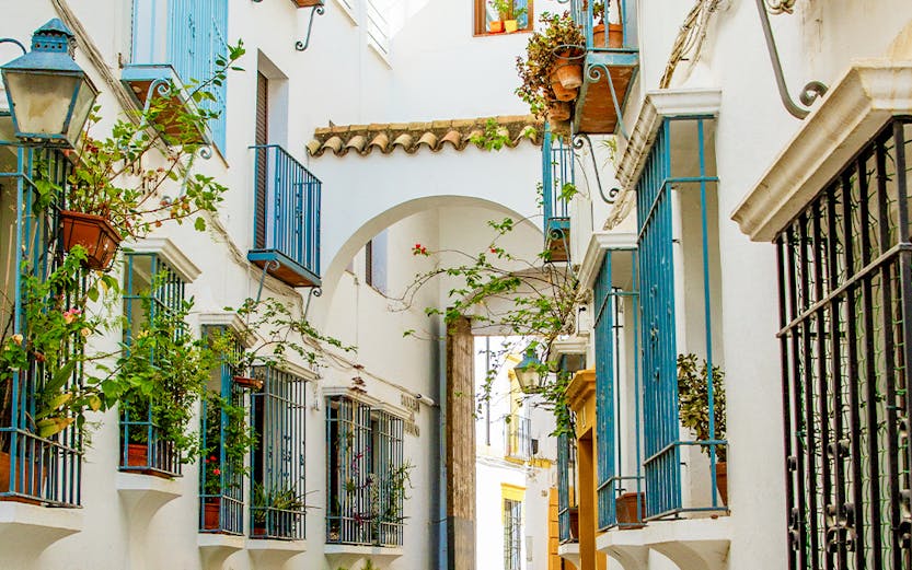 Narrow alleyway with white buildings and potted plants in Cordoba, Spain.