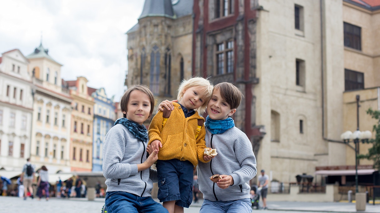 Prague National Museum - Facilities