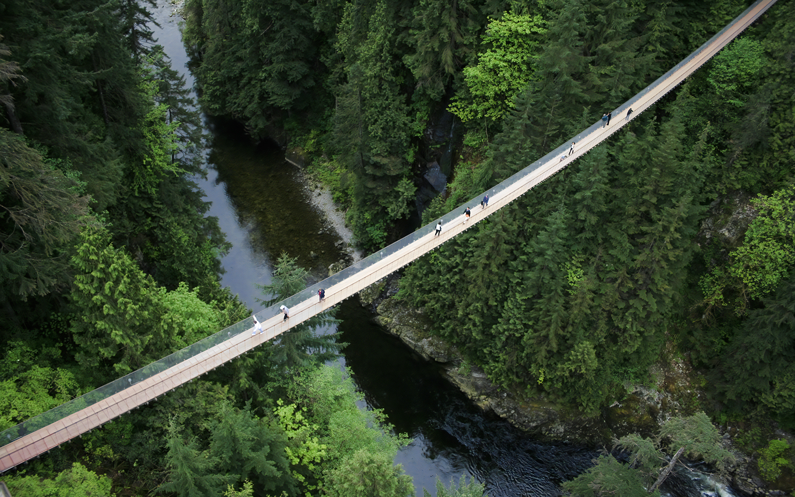 Visitors walking on Capilano Suspension Bridge above forested canyon in Vancouver, Canada.