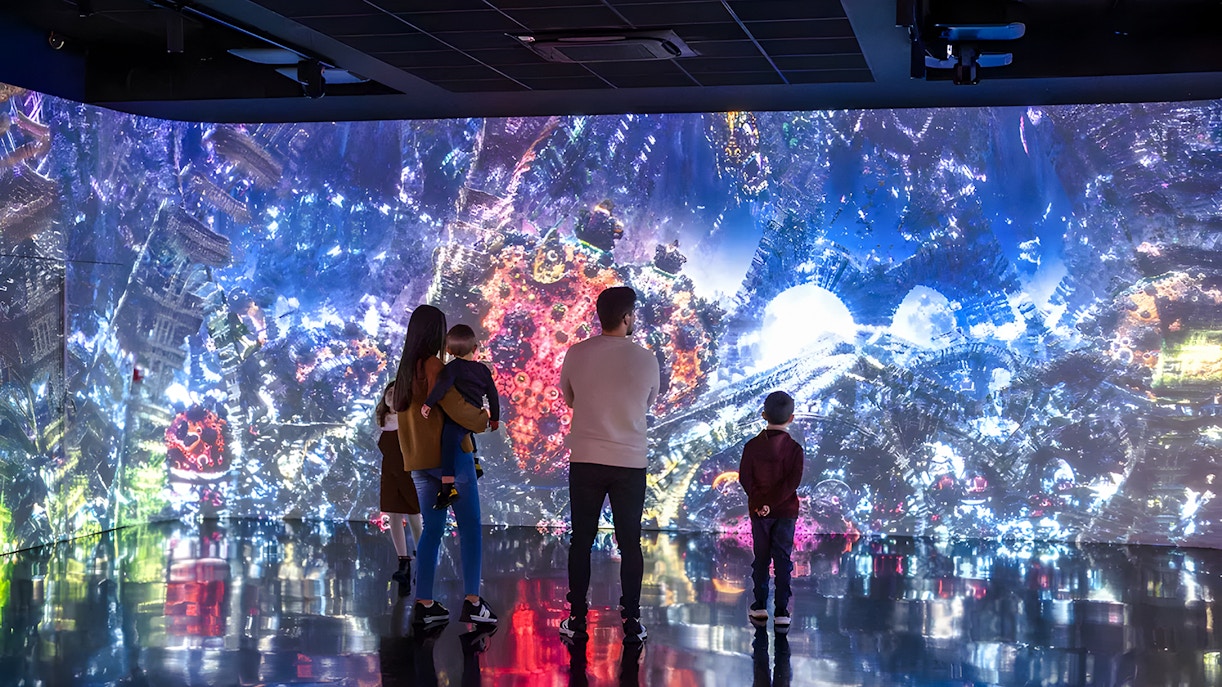 Immersive art installation at Fabrique des Lumières showcasing vibrant foreign nature scenes.