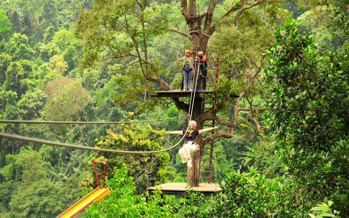 Woman ziplining between tree platforms above Pongyang jungle canopy, Chiang Mai.