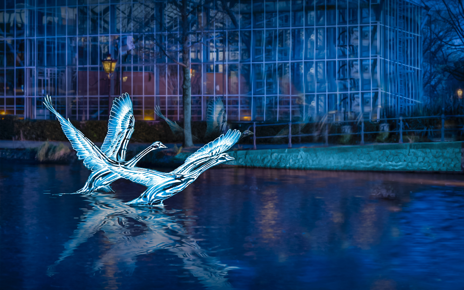 Illuminated swan sculptures on water during Amsterdam Light Festival cruise.