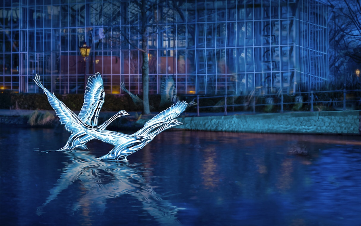 Illuminated swan sculptures on water during Amsterdam Light Festival cruise.