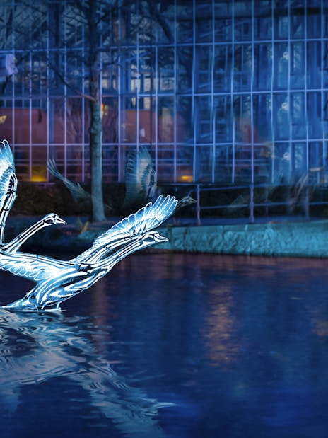 Illuminated swan sculptures on water during Amsterdam Light Festival cruise.