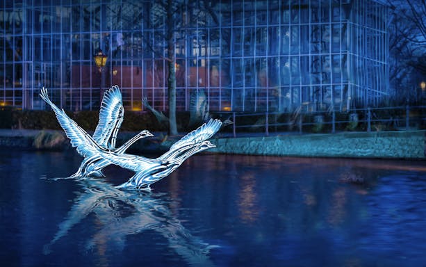 Illuminated swan sculptures on water during Amsterdam Light Festival cruise.