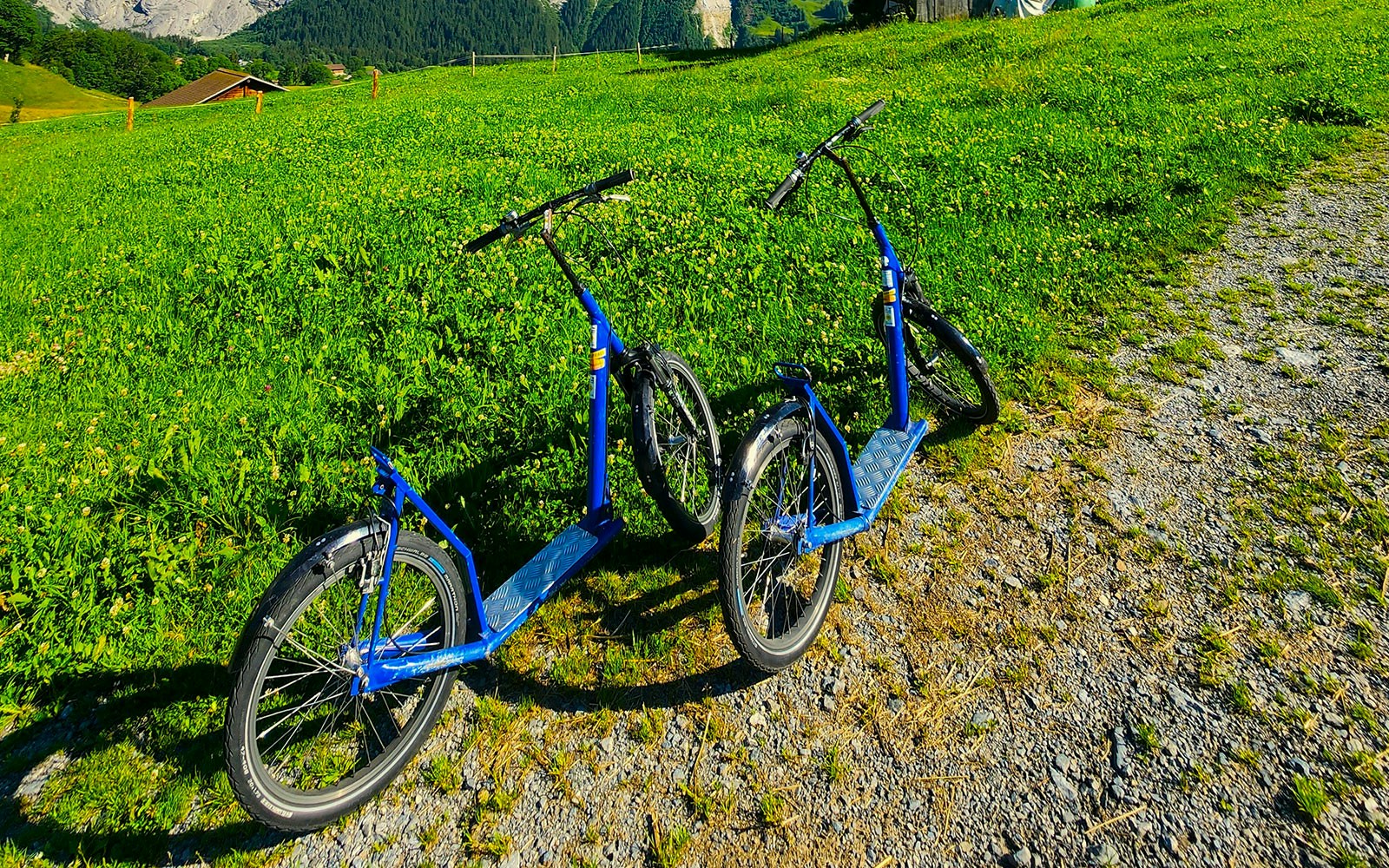 Due Trottibike a Grindelwald