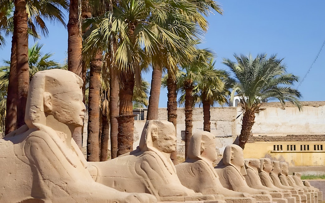 Row of sphinx statues at Karnak Temple, Luxor, Egypt, with palm trees in the background.