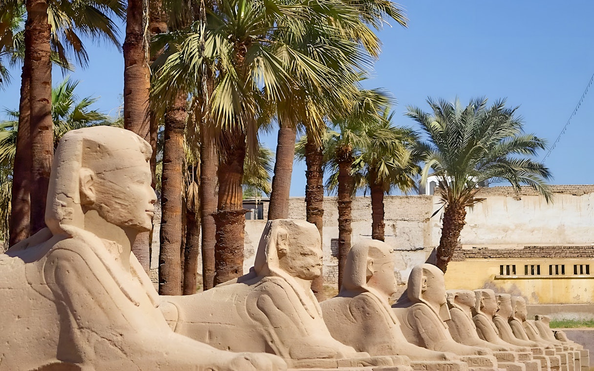 Row of sphinx statues at Karnak Temple, Luxor, Egypt, with palm trees in the background.