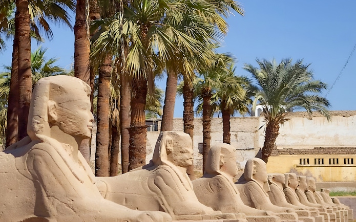 Row of sphinx statues at Karnak Temple, Luxor, Egypt, with palm trees in the background.
