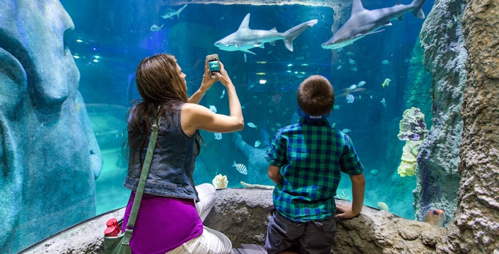 Parcs à thème et attractions