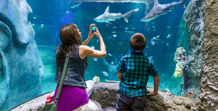 Theme Parks & Attractions