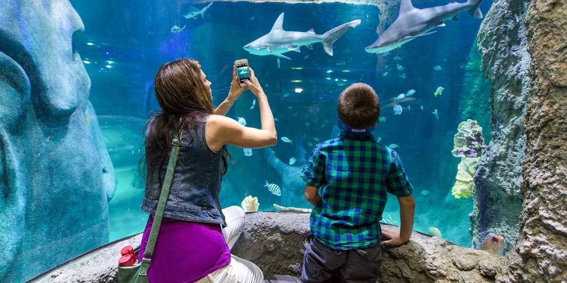 Theme Parks & Attractions