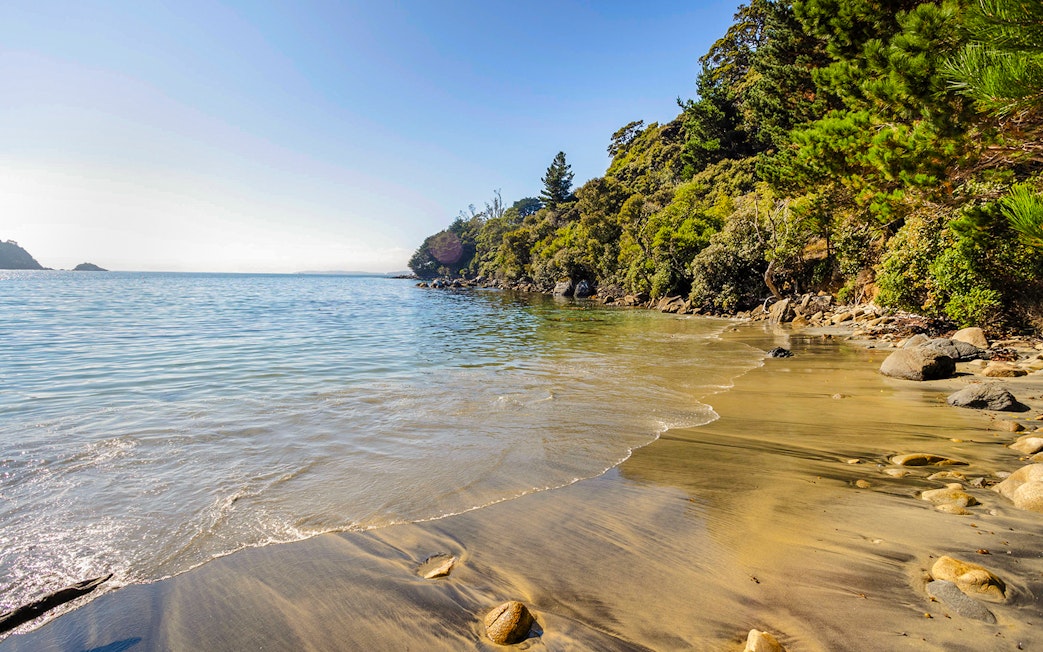 Stewart Island beach with clear water and lush greenery along the shore.
