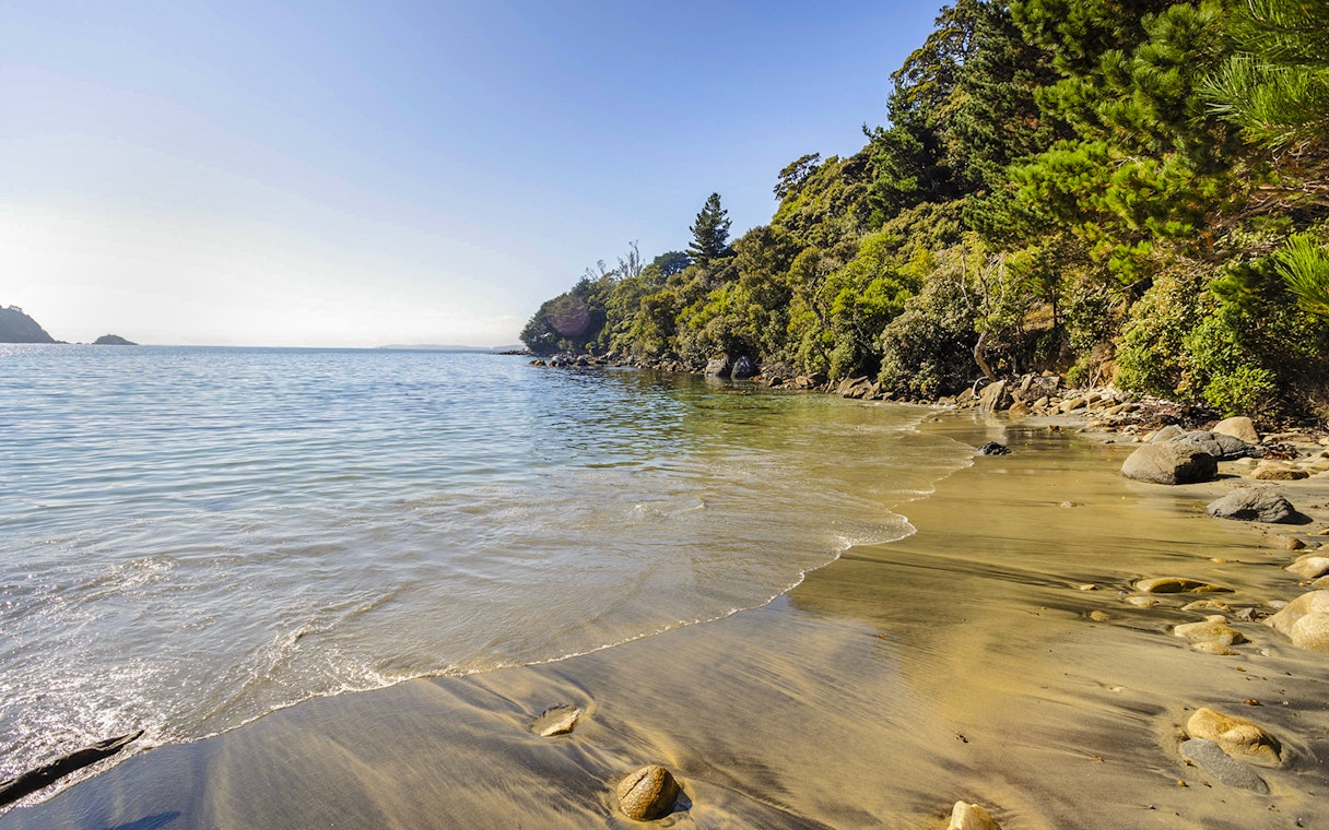 Stewart Island beach with clear water and lush greenery along the shore.