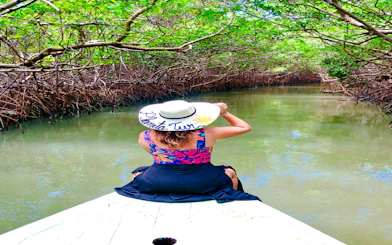 Woman on boat in Icaraí de Amontada mangrove tunnel, Sao Paulo.
