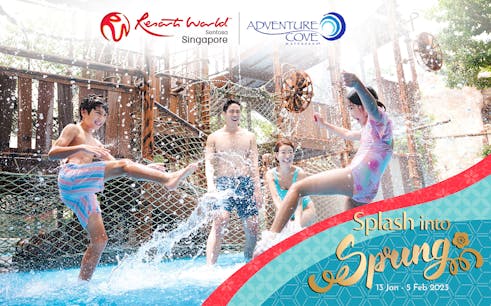 Ingressos para o Adventure Cove Waterpark™