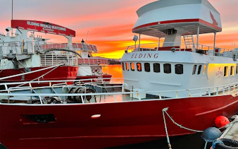 Whale watching boats at Elding Visitor Centre, Reykjavik, during a vibrant sunset.