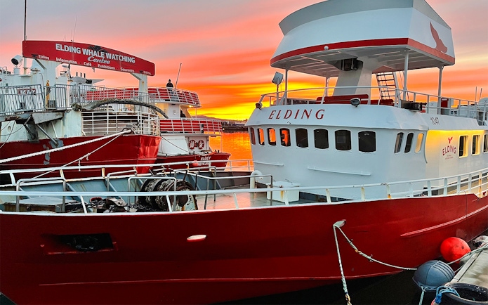 Whale watching boats at Elding Visitor Centre, Reykjavik, during a vibrant sunset.