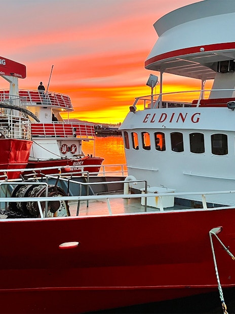 Whale watching boats at Elding Visitor Centre, Reykjavik, during a vibrant sunset.
